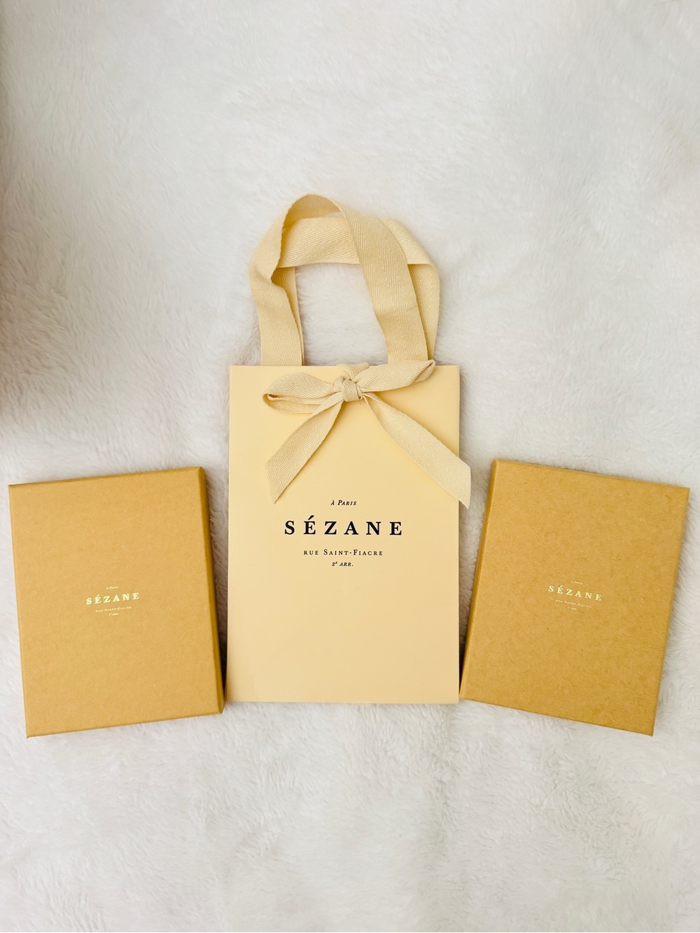 2 Sezane notebooks with gift boxes and a gift bag